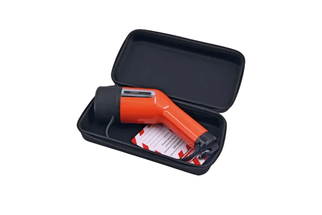 Electric Vehicle Immobiliser Plug