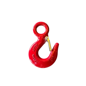 Eye Type Hoist Hook with Safety Catch 2ton