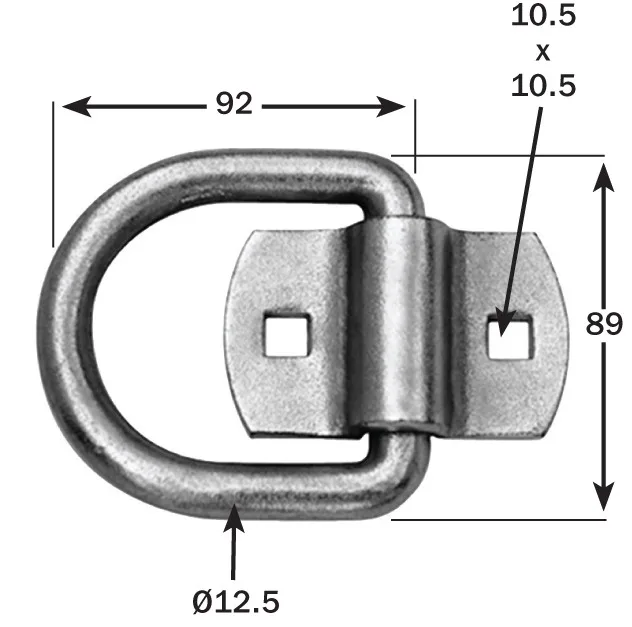 lashing ring and cleat